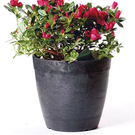 Grandoldgarden 03108.05 10 in. Dolce Planter, Black, Round GR3862287